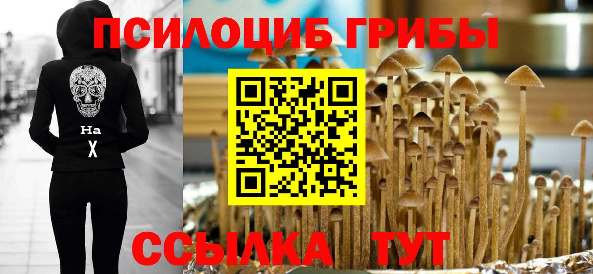 Знаменск  Галлюциногенные грибы ЛСД  купить закладку  Вход с VPN 