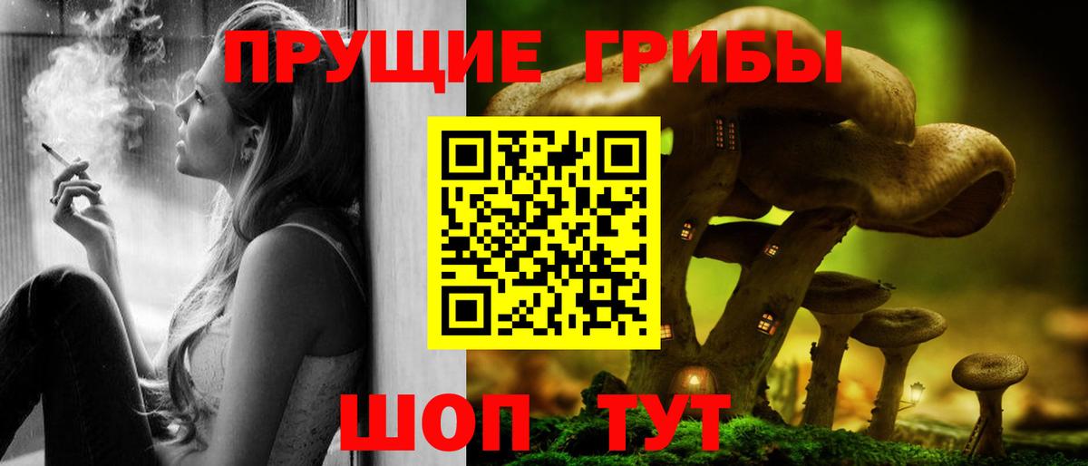 Галлюциногенные грибы Psilocybe Знаменск